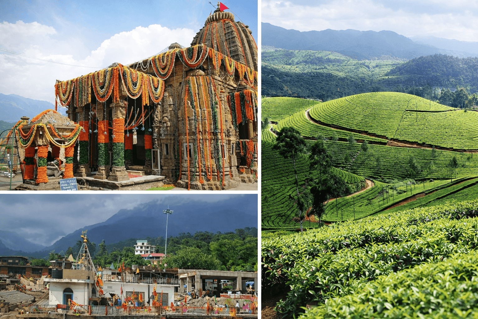 Kangra Braman - Image 1